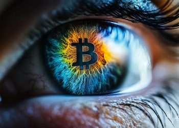 Rainbow Chart reflected in an eye.