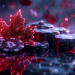 Canadian crypto exchange gambled away $9.5M of users’ Bitcoin and Ether