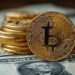 مایکرواستراتژی در آستانه خرید جدید بیت‌کوین؛ تثبیت قیمت BTC در محدوده ۱۰۱ هزار دلاری و سبقت از دارایی‌های دولت آمریکا