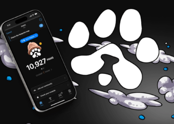 تاریخ رسمی عرضه توکن پاوز ($ PAWS)؛ از کجا بدانیم مشمول چند توکن شده ایم؟
