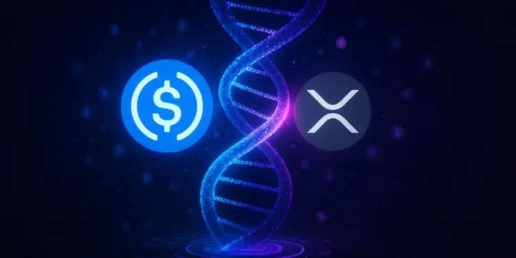 دومین استیبلکوین بزرگ بازار وارد اکوسیستم ریپل شد