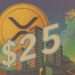 اگر ETF برای XRP تأیید شود، قیمت آن به ۲۵ دلار می‌رسد اما تحلیل‌گران هشدار می‌دهند که ریزش شدیدی در پیش است