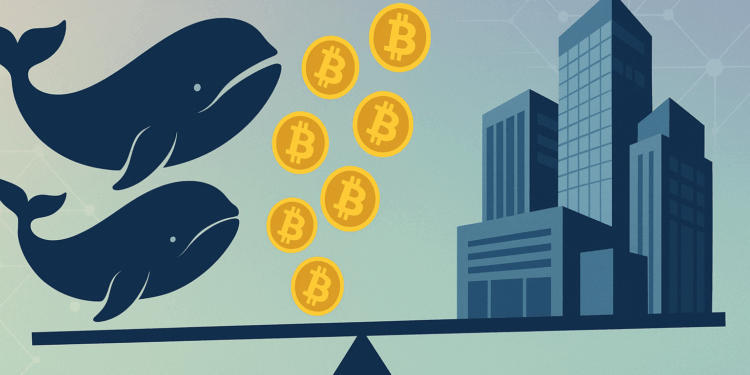 تغییر بیسروصدای کنترل بازار بیتکوین