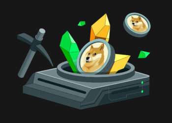 بیت اوریجین چینی؛ از گوشت خوک تا ماینینگ بیت‌کوین و سرمایه‌گذاری در دوج‌کوین