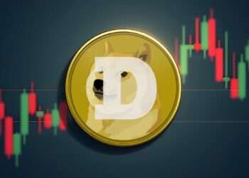 چرا دوج کوین بالا نمیره؟ بررسی عوامل مانع رشد DOGE