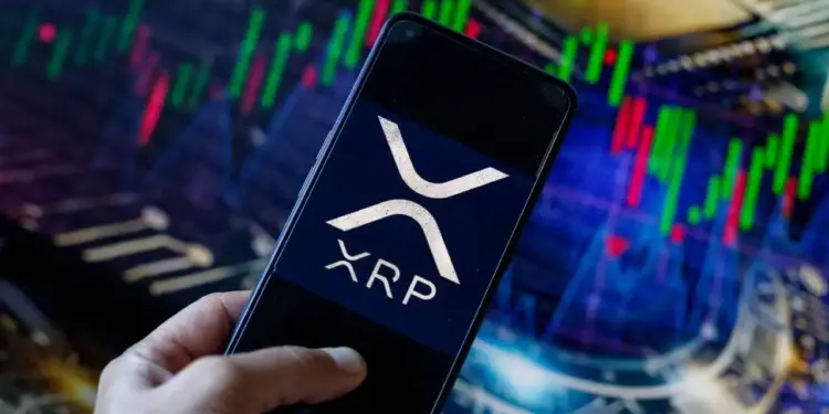 بیت‌لرد: ریپل را بخرید و سوال نکنید!