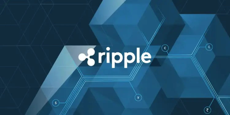 سقوط ۳۳ درصدی ریپل؟ / تحلیلگران از ریسک بزرگ قیمت XRP خبر دادند