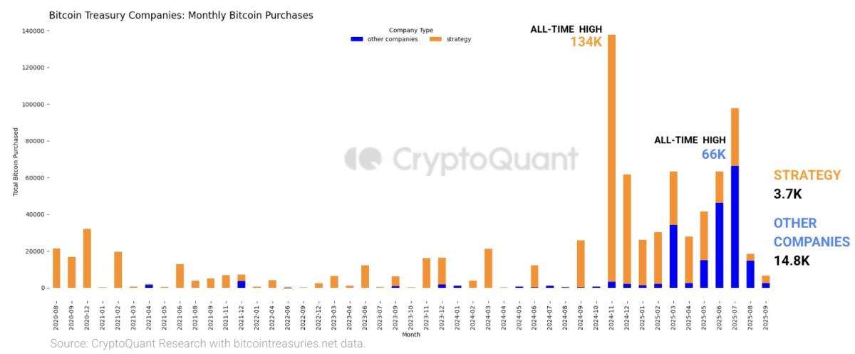فروش ۲۴۱ هزار بیت&zwnj;کوین توسط هولدرها؛ احتمال سقوط به ۹۵ هزار دلار