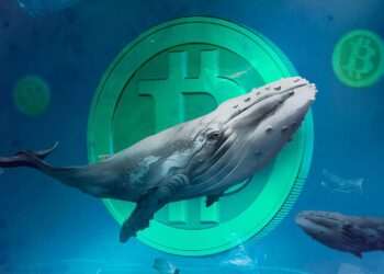 نهنگ‌ها بیت‌کوین را در کدام محدوده قیمتی می‌خرند؟