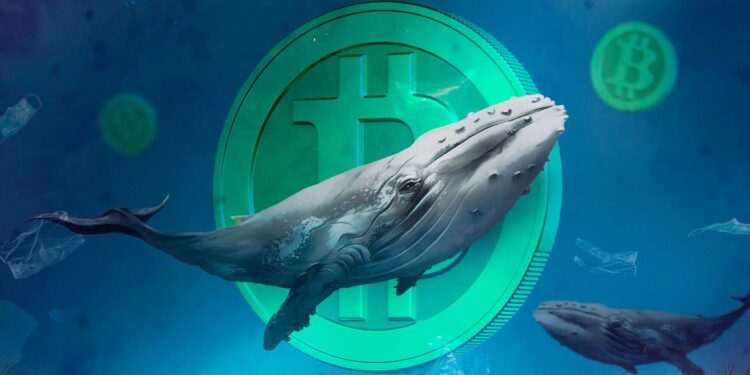 نهنگها بیتکوین را در کدام محدوده قیمتی میخرند؟