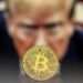 ذخیره بیتکوین تنها راهحل واقعی برای بدهی ملی آمریکاست